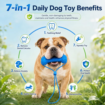 2-in-1 Dog Dental Cleaning Chew Toy & Brushing Aid