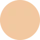 Skin-Adaptive CC Tinted Serum