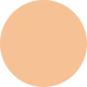 Skin-Adaptive CC Tinted Serum